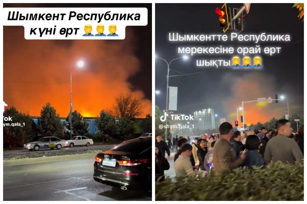 Фото: видеодан скриншот