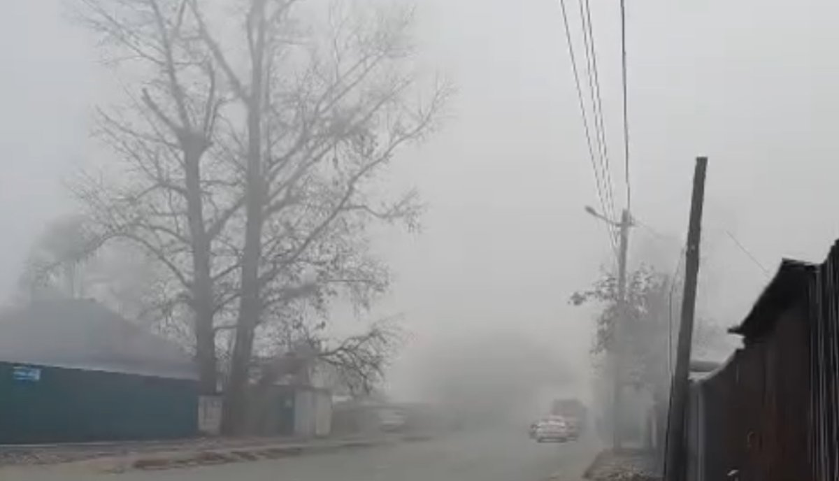 Фото: видеодан скрин