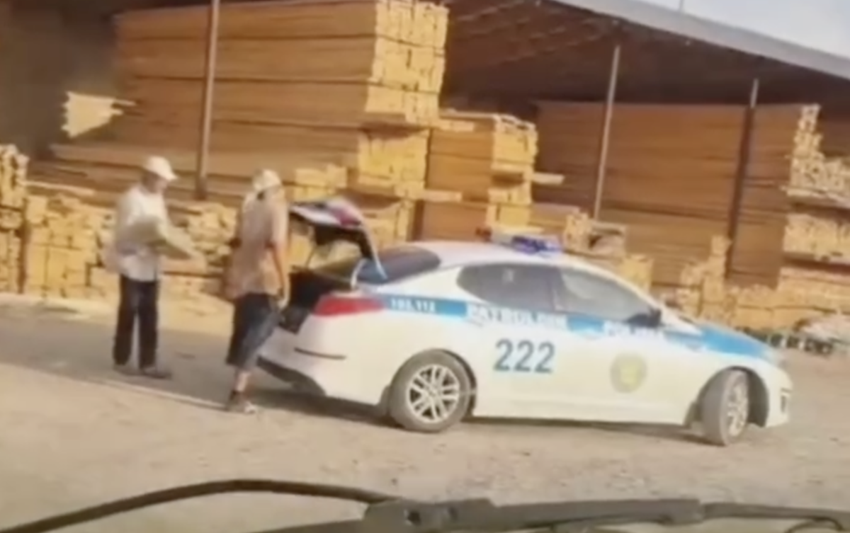 Фото: видео скриншот