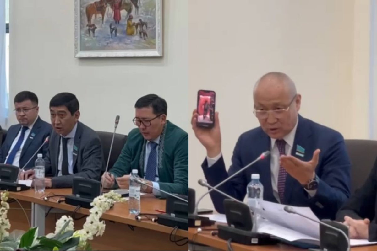 Фото: видеодан скриншот