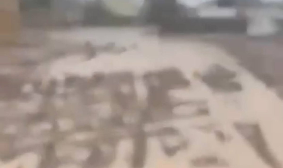 Фото: видеодан скрин