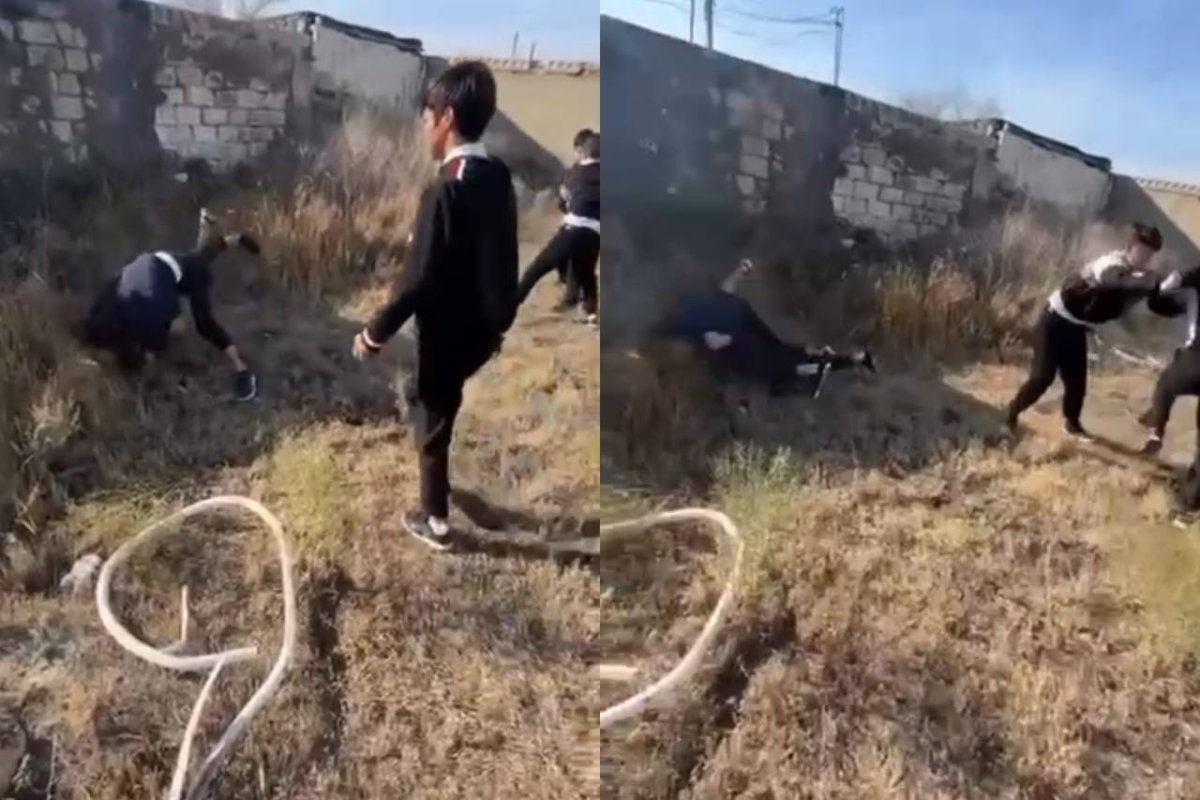 Фото: видеодан скрин