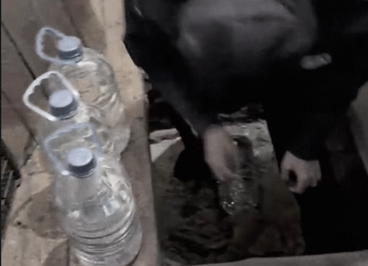 Фото: видео скриншот