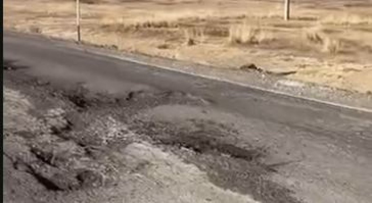 Фото: видеодан скрин