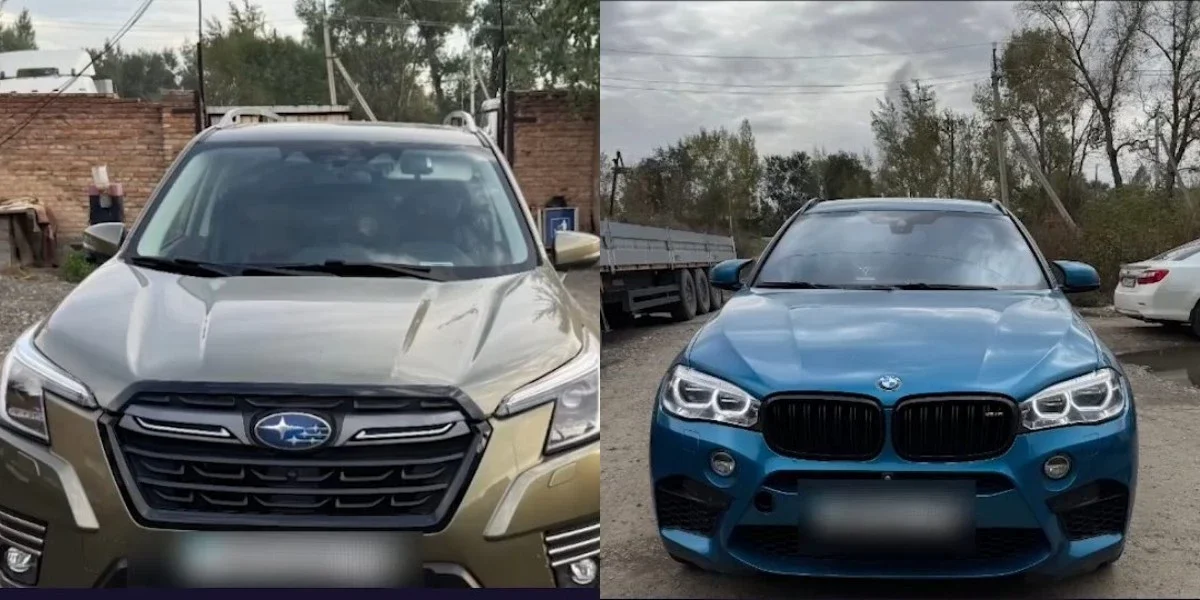 Фото: видеодан скриншот