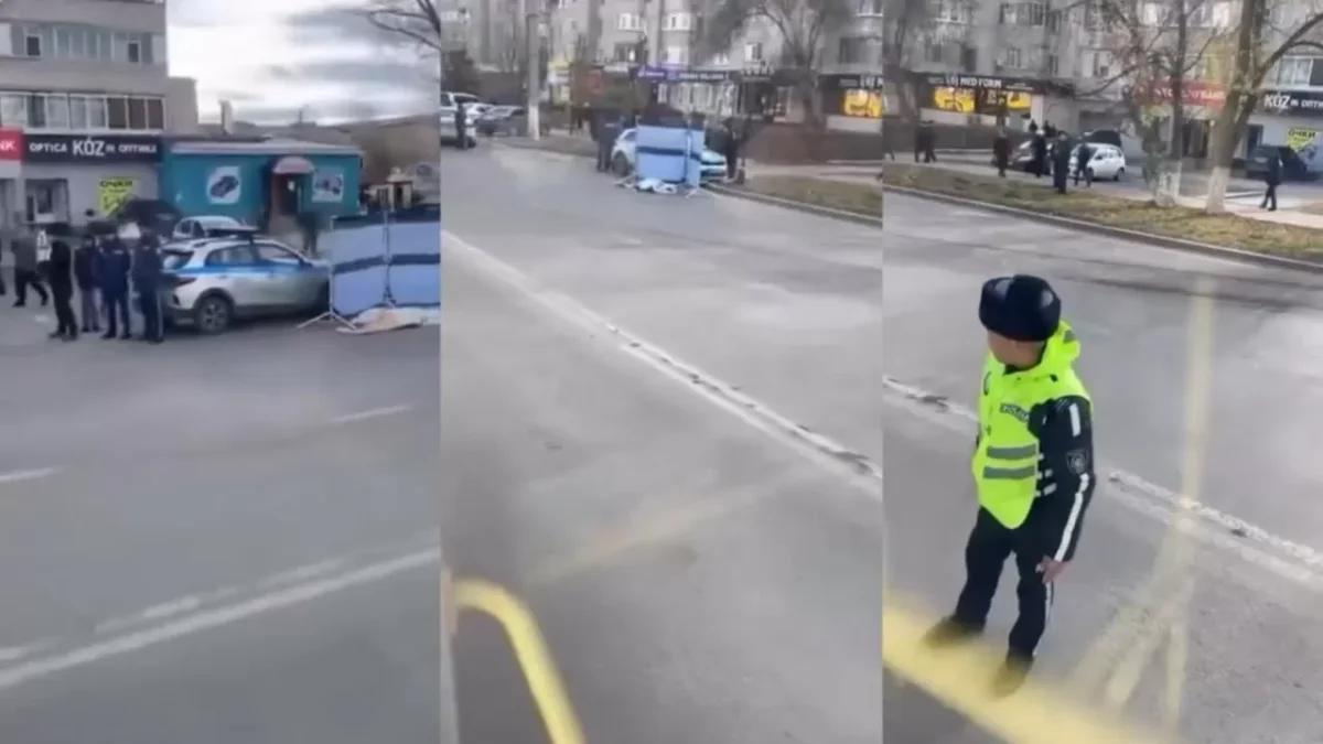 Фото: видеодан скриншот