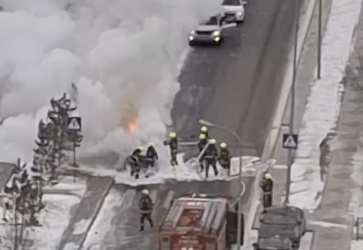 Фото: видео скриншот