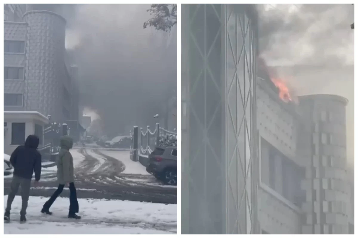 Фото: видеодан скриншот