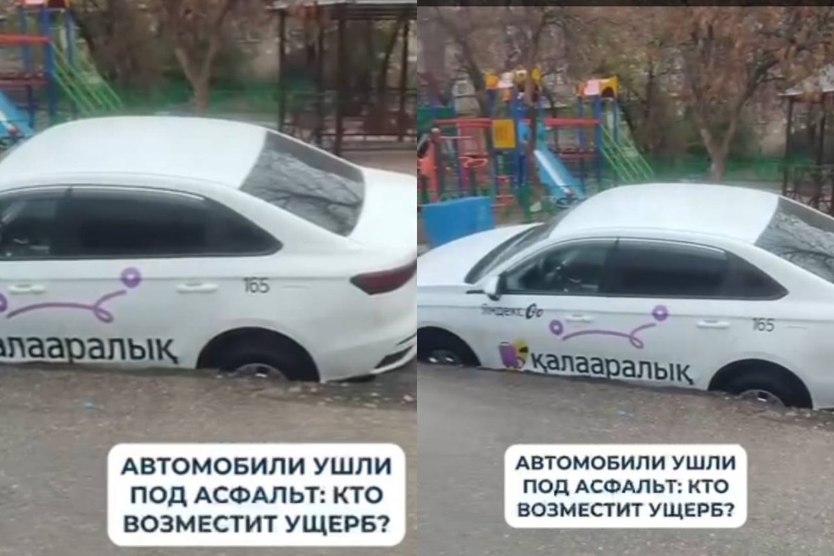 Фото: видеодан скриншот