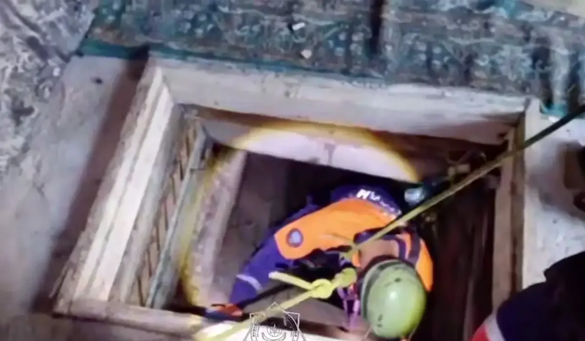 Фото: Видеодан скрин