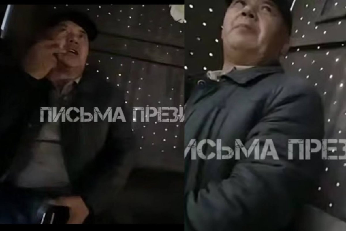 Фото: видеодан скриншот