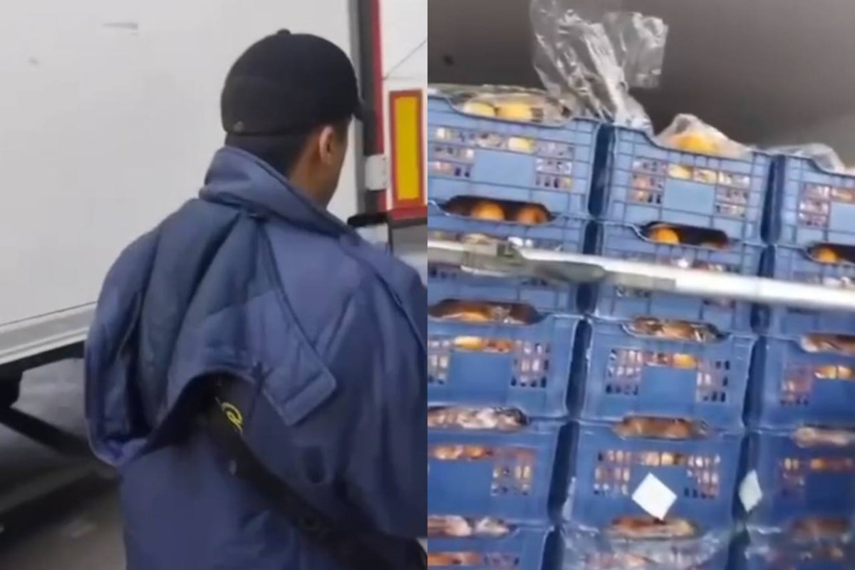 Фото: видеодан скриншот