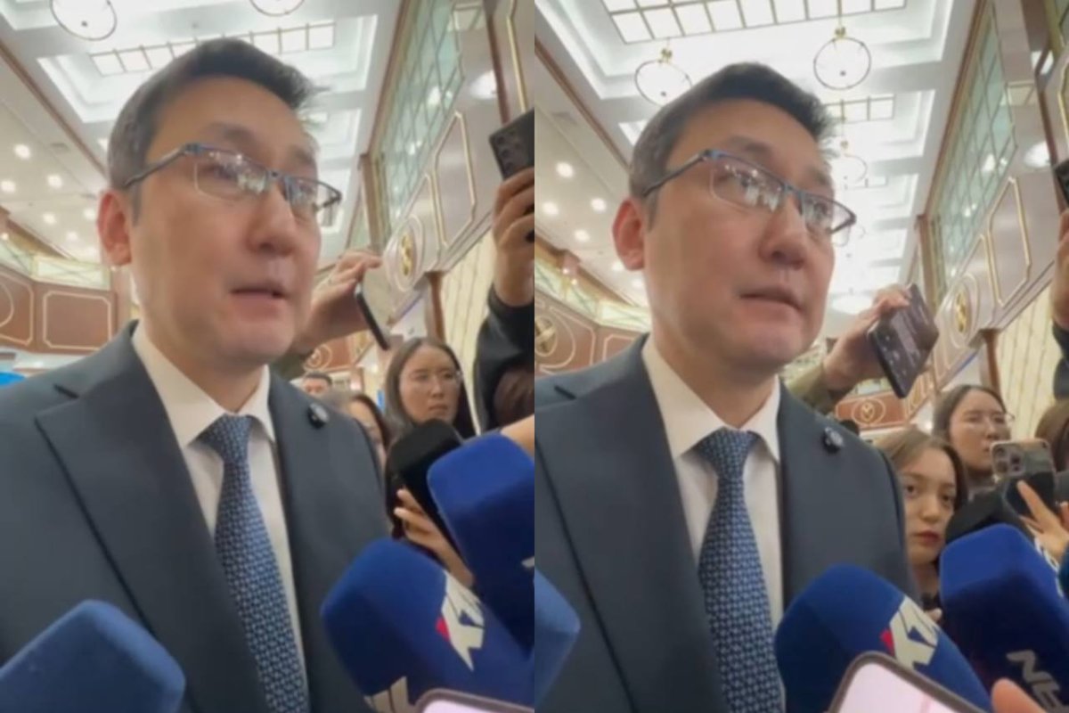 Фото: видеодан скриншот