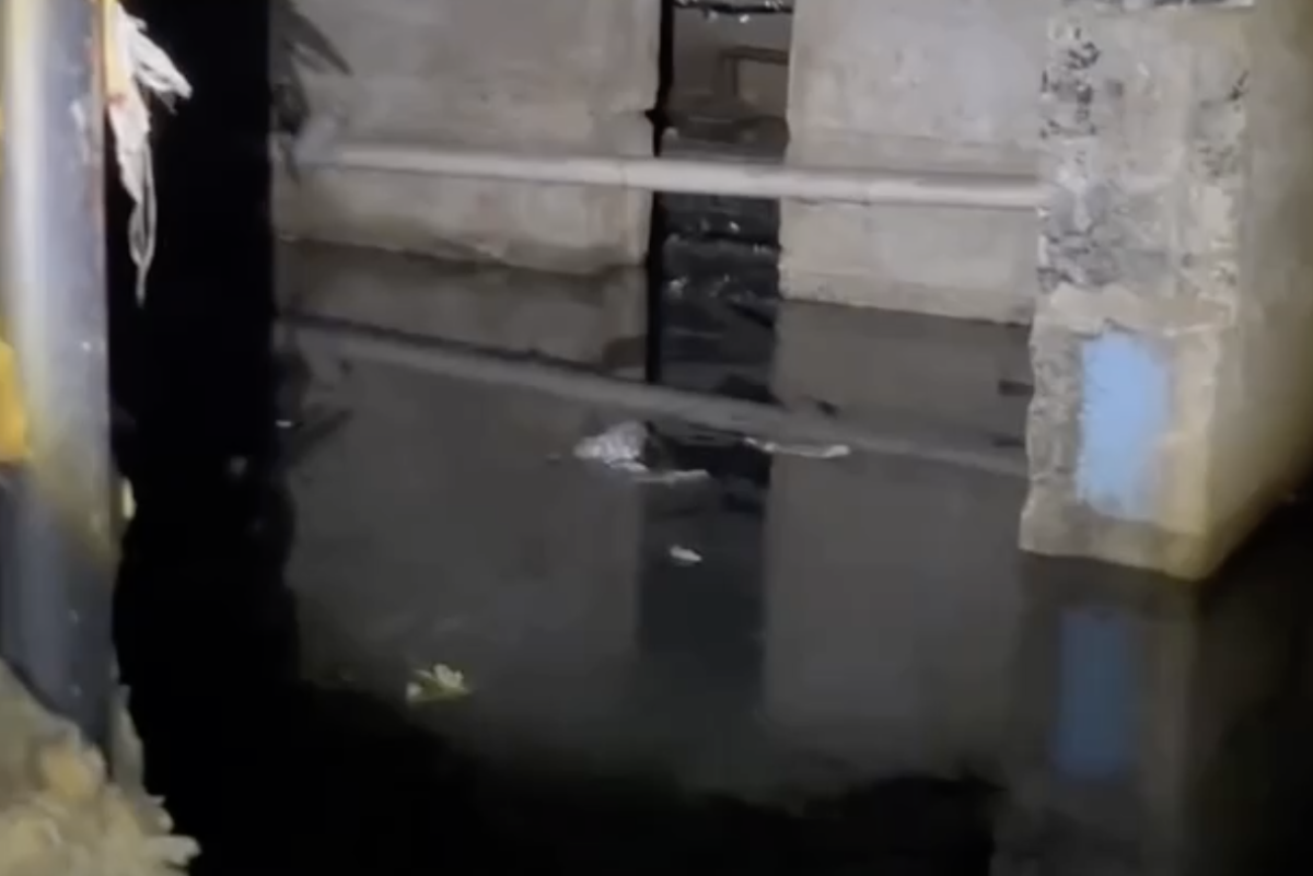 Фото: Видеодан алынған кадр