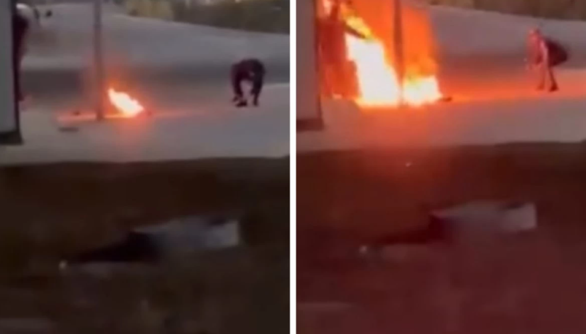 Фото: видеодан скрин