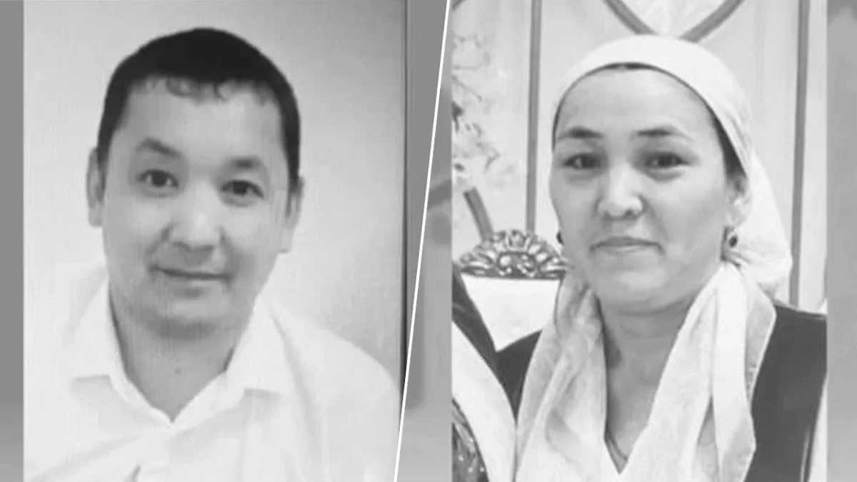 Фото: instagram.com/zello.poisk