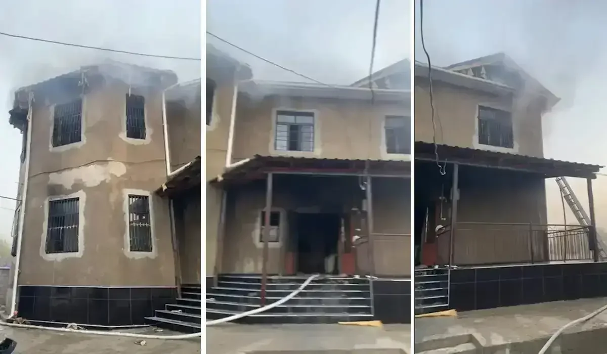 Фото: видеодан скриншот