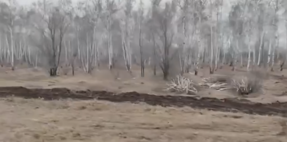 Фото: Видеодан алынған кадр