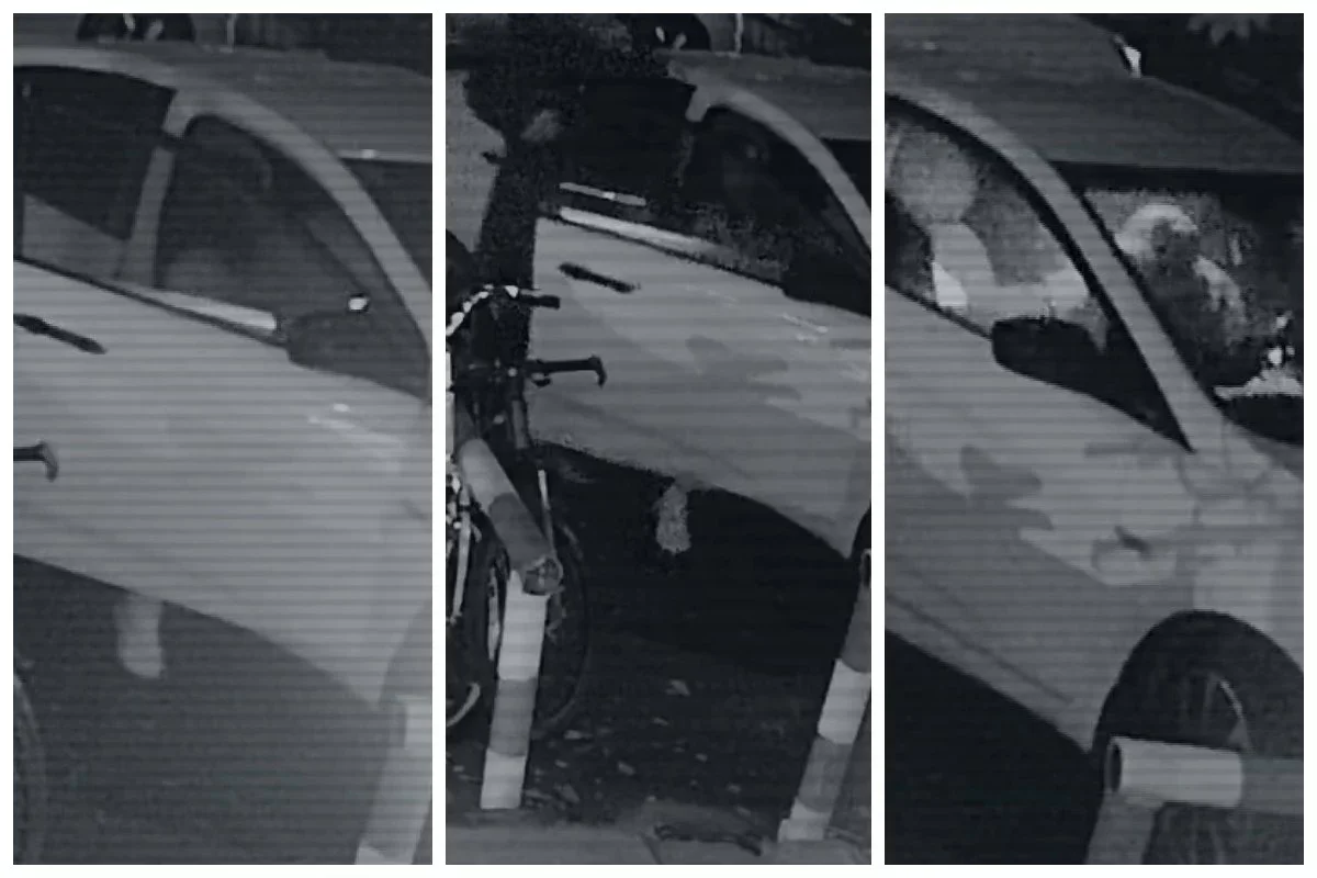 Фото: видео скриншот