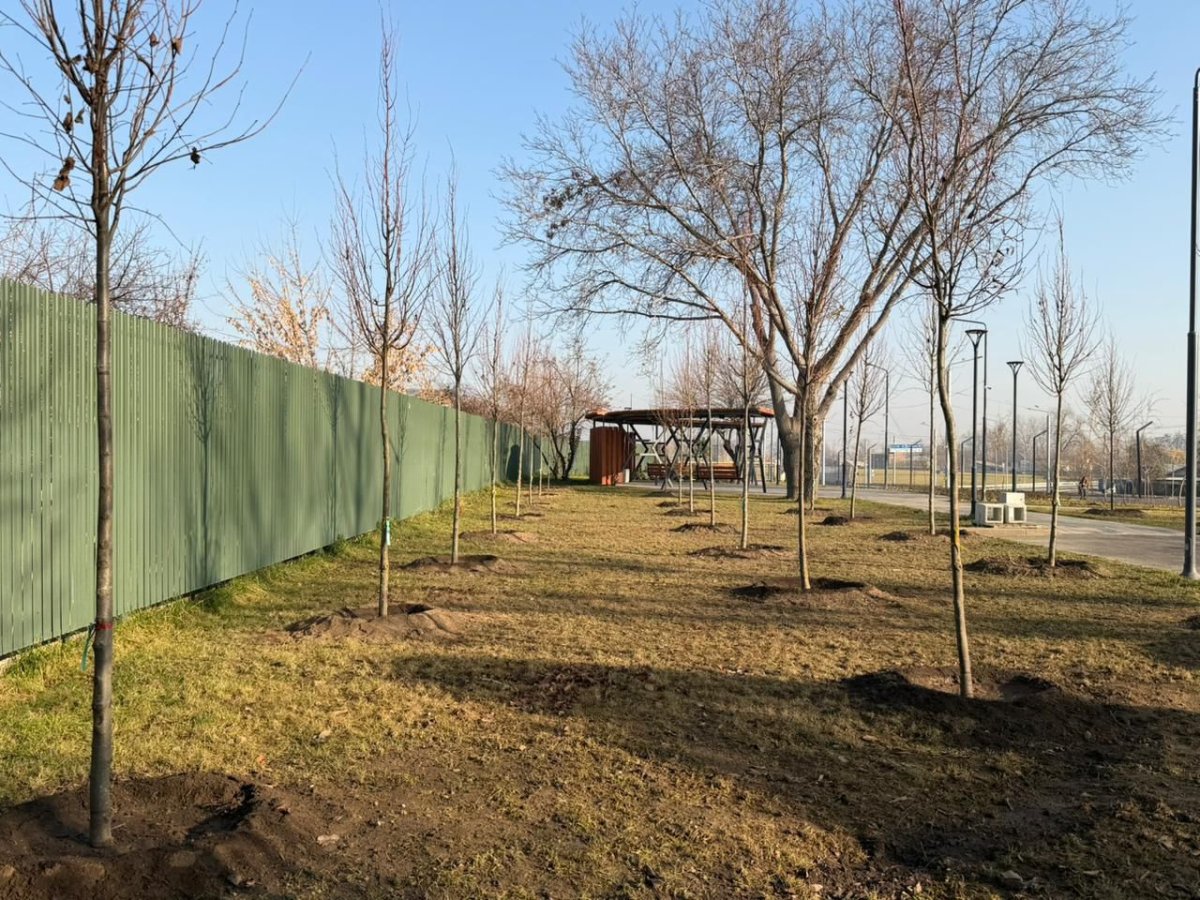 Фото: Алматы әкімдігі