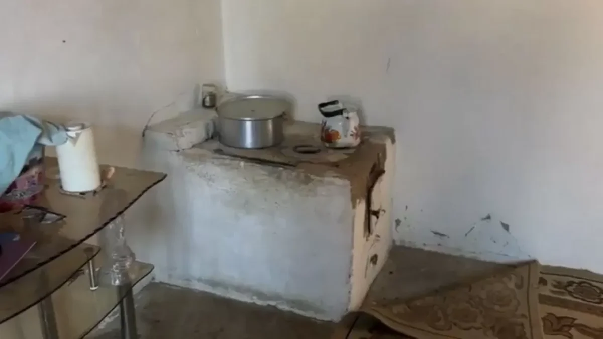 Фото: видеодан скриншот