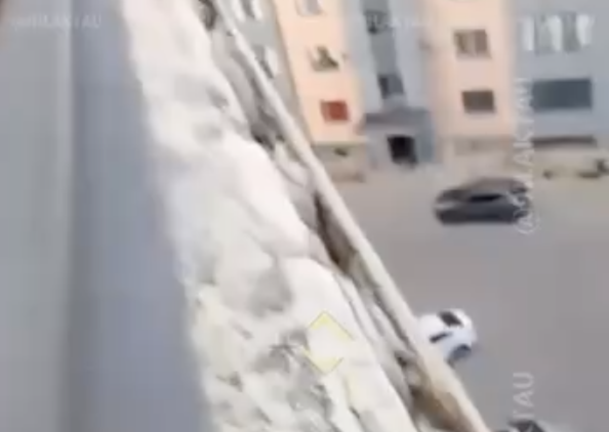 Фото: Видеодан алынған кадр