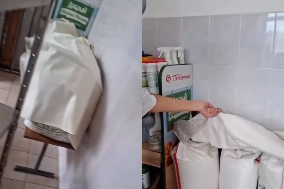 Фото: видеодан скрин