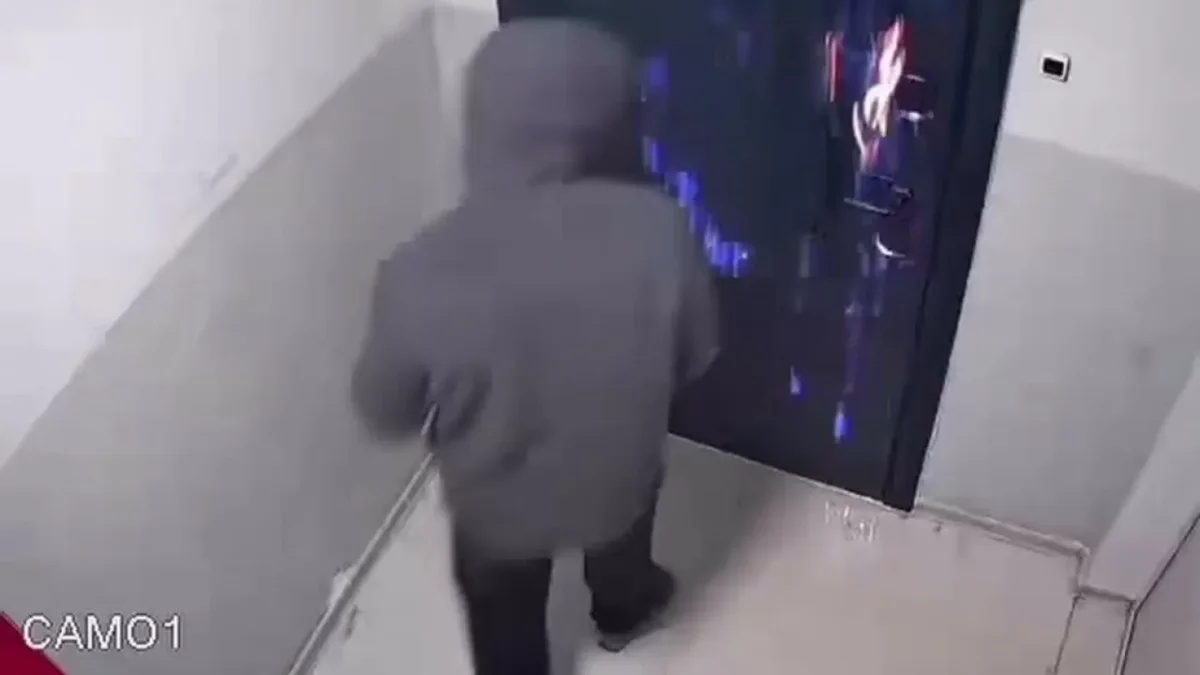 Фото: видеодан скриншот