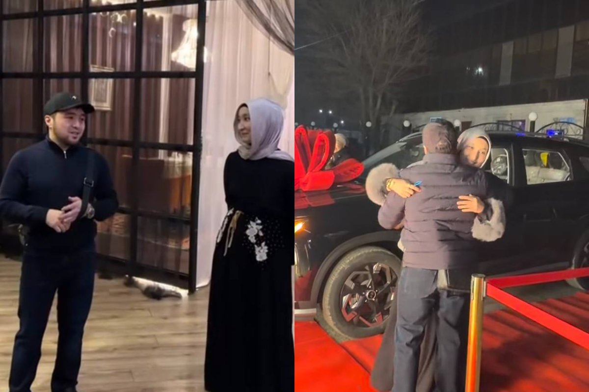 Фото: видеодан скриншот