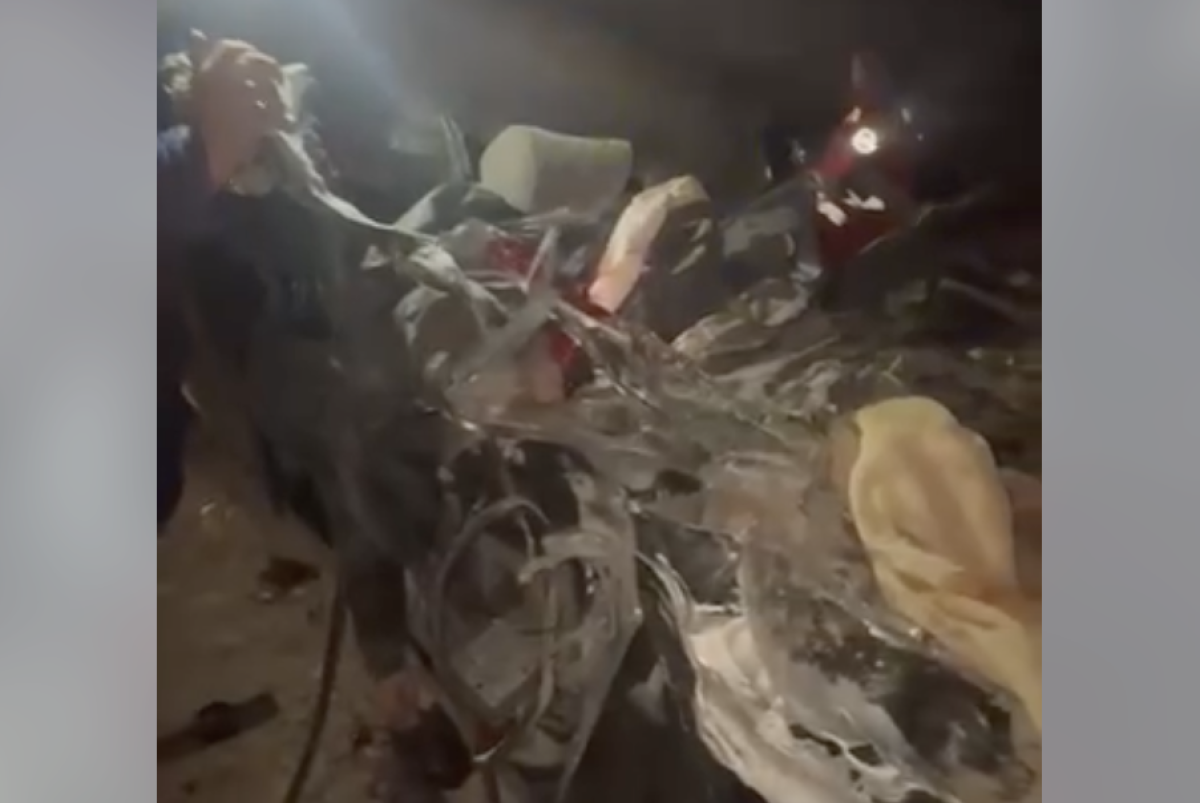 Фото: видео скриншот