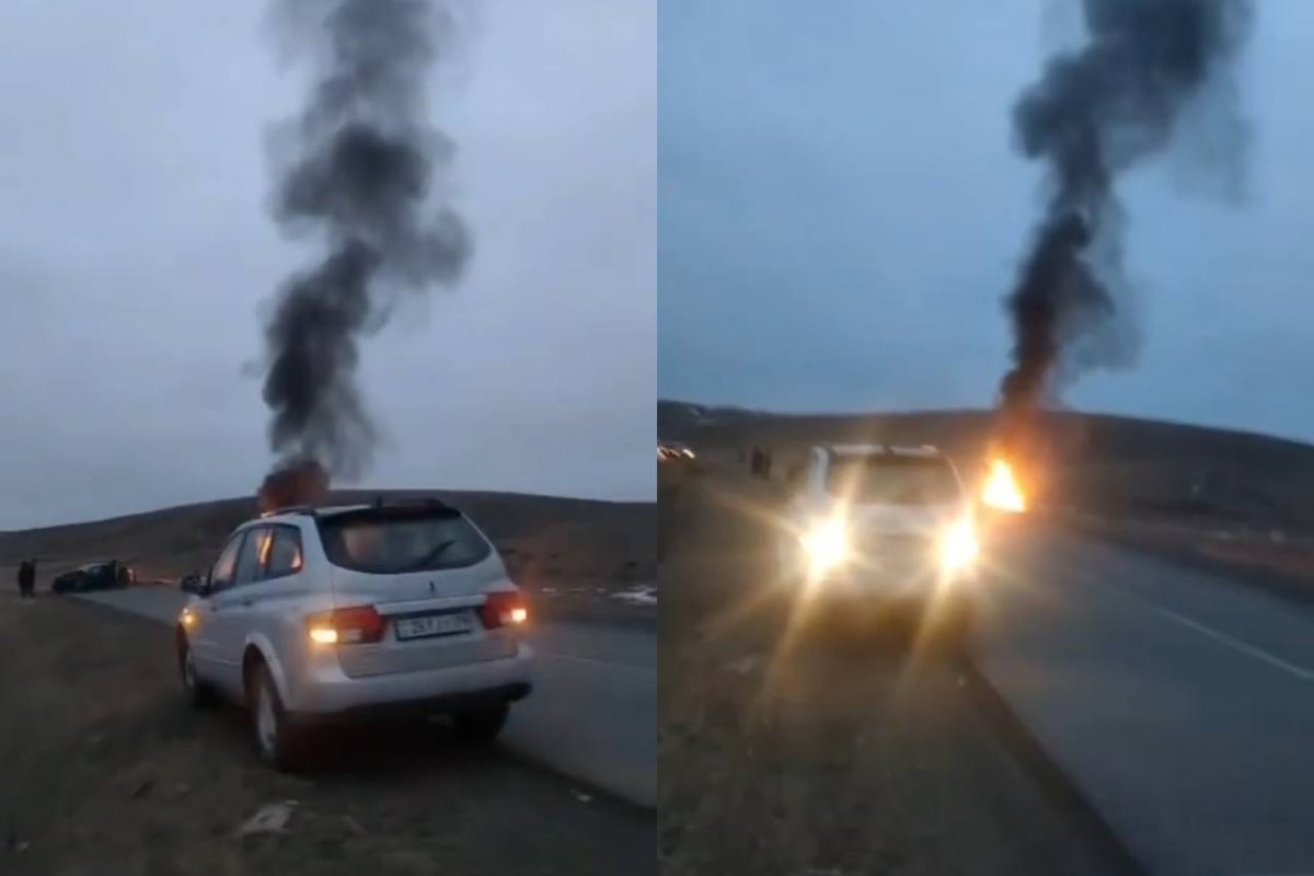 Фото: видеодан скриншот