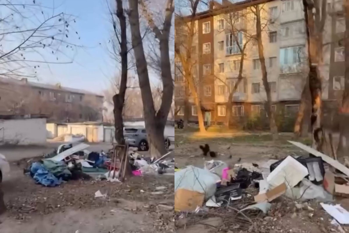 Фото: видеодан скрин