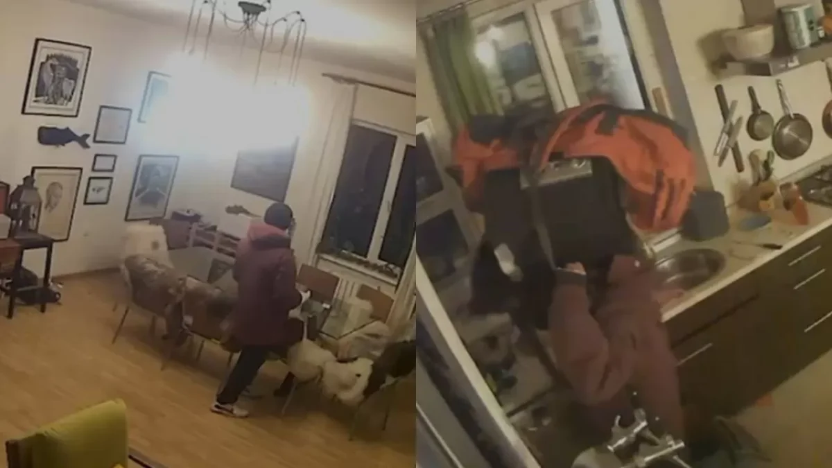 Фото: видеодан скриншот