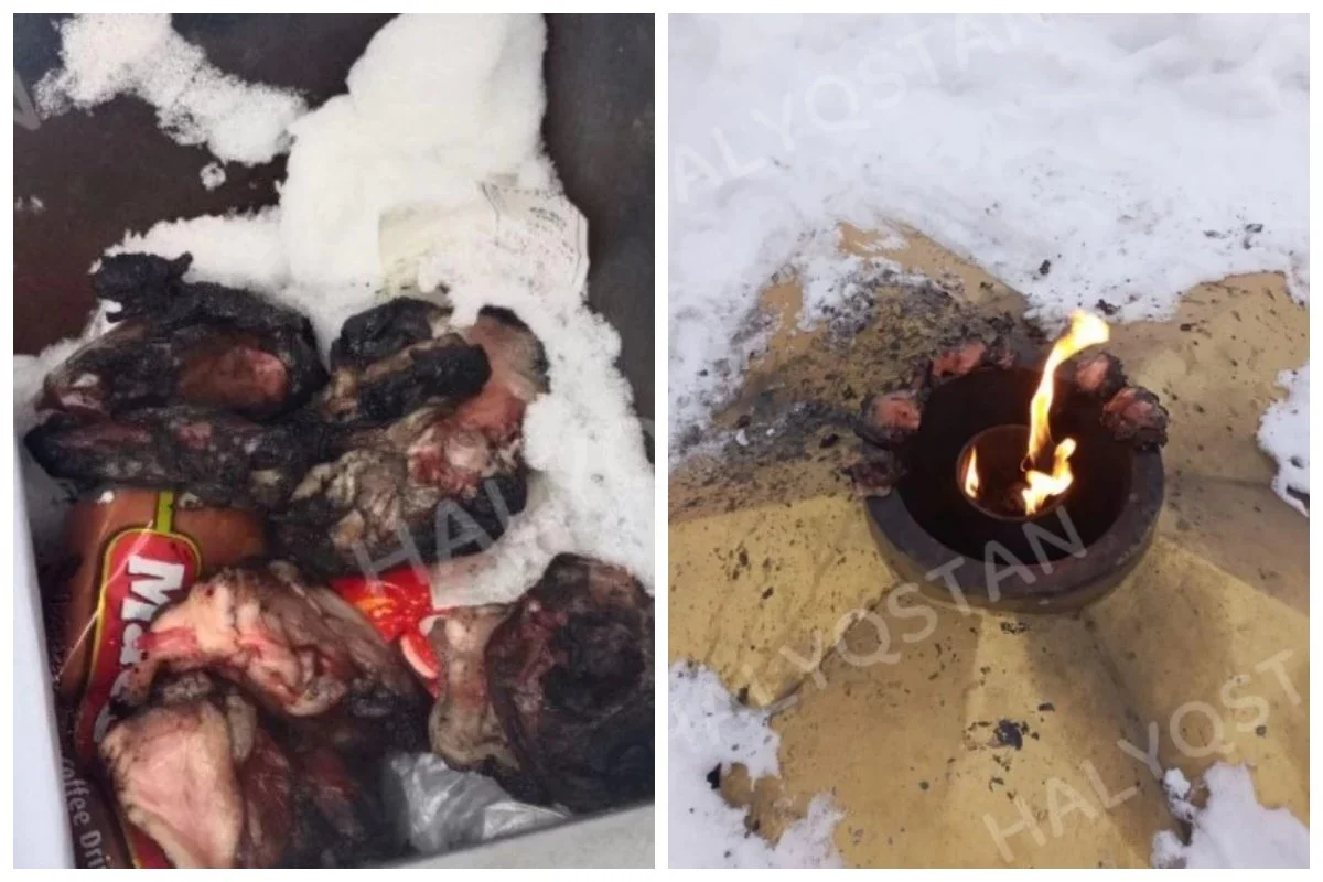 Фото: видеодан скриншот