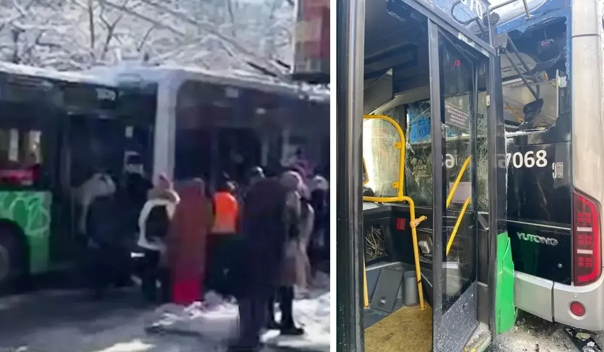 Фото: видеодан скриншот