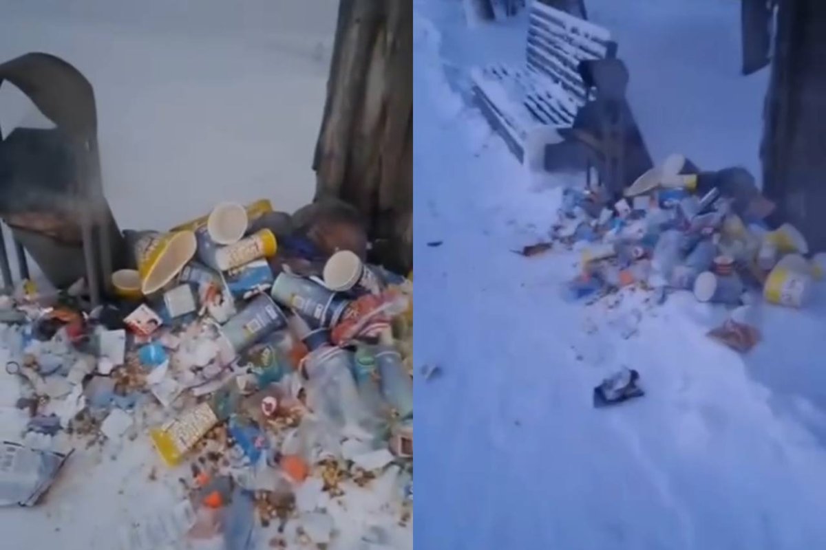 Фото: видеодан скрин