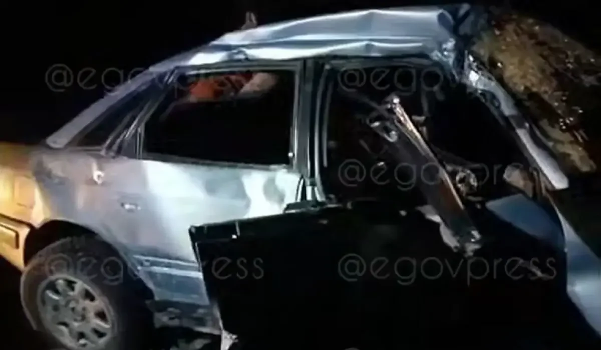 Фото: видеодан скриншот