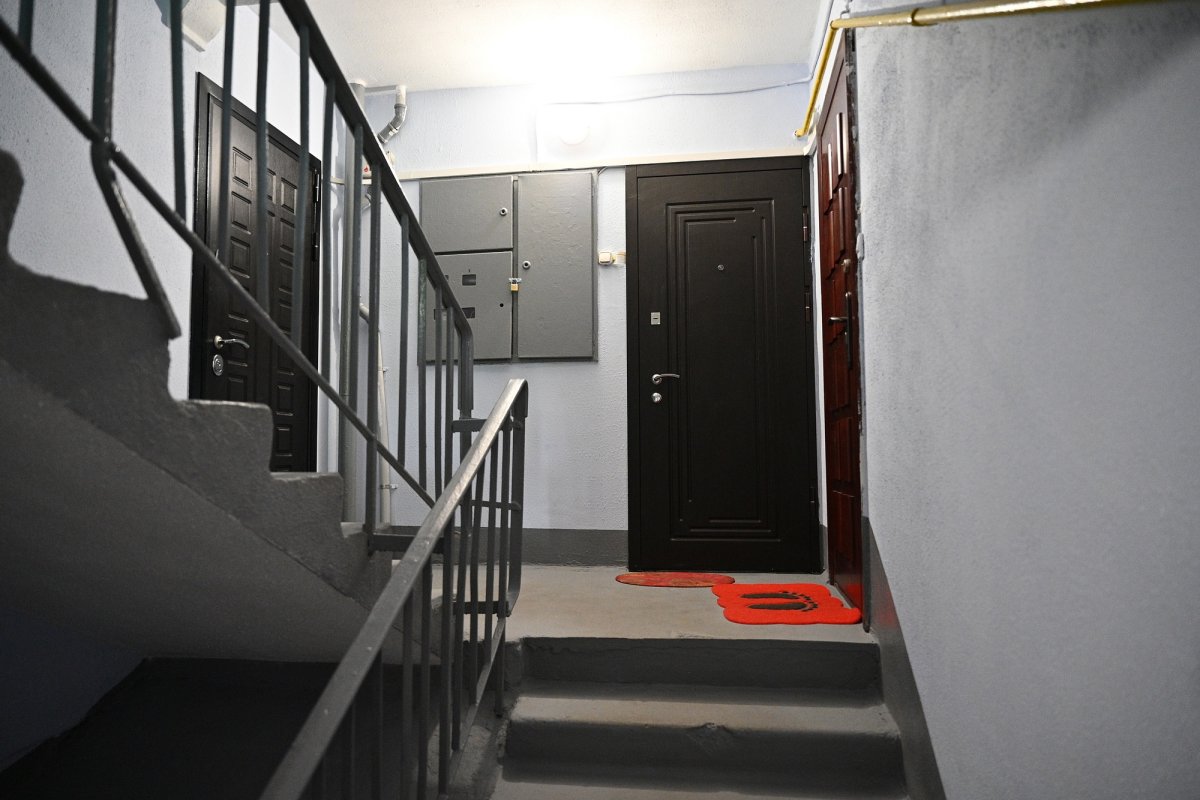 Фото: shelkovo.bezformata.com