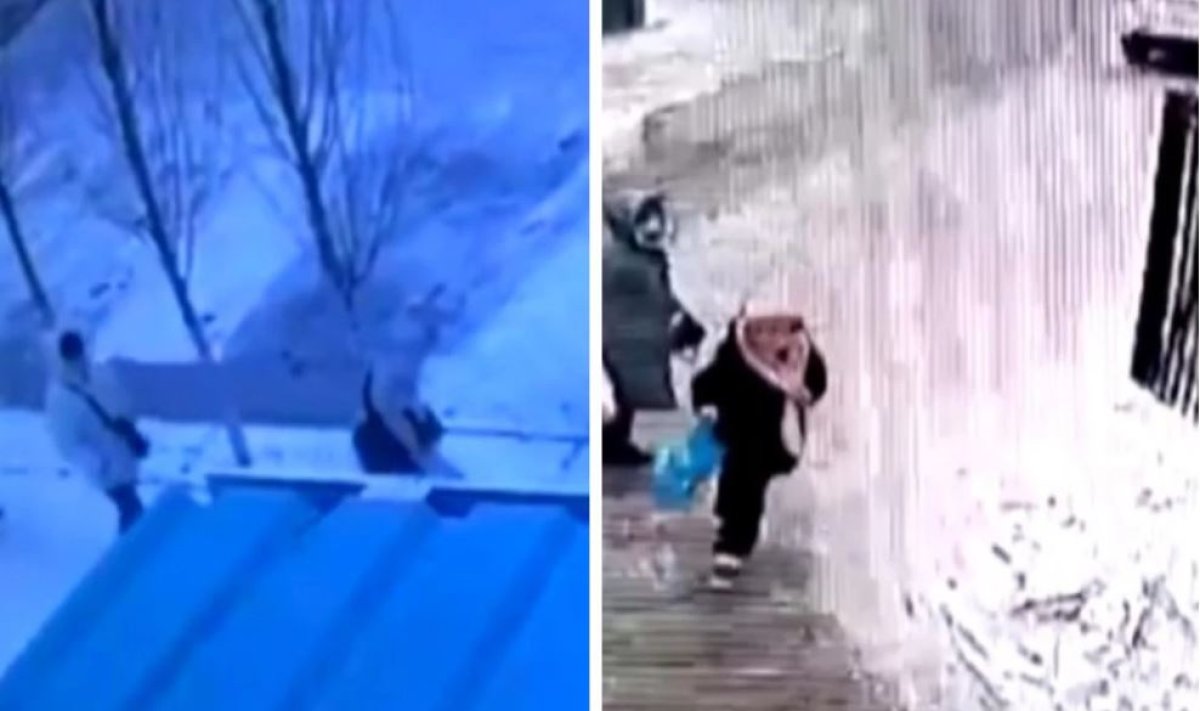 Фото: видеодан скрин