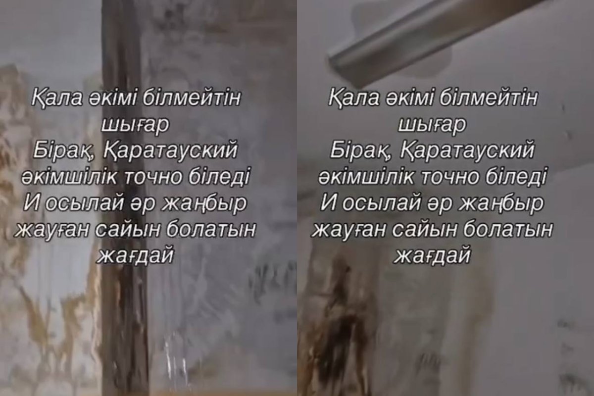 Фото: видеодан скрин