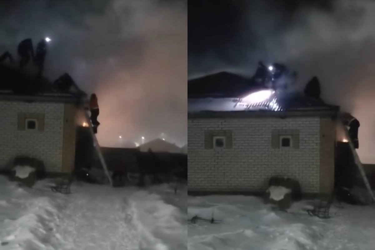 Фото: видеодан скриншот