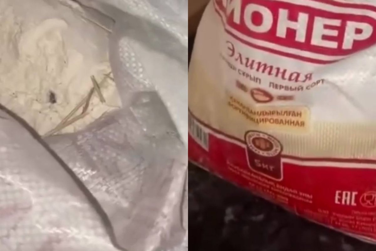 Фото: видеодан скриншот