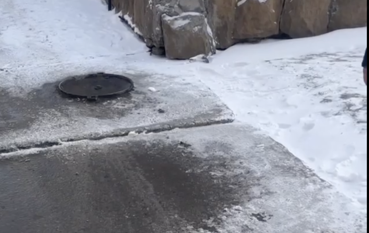 Фото: видео скриншот