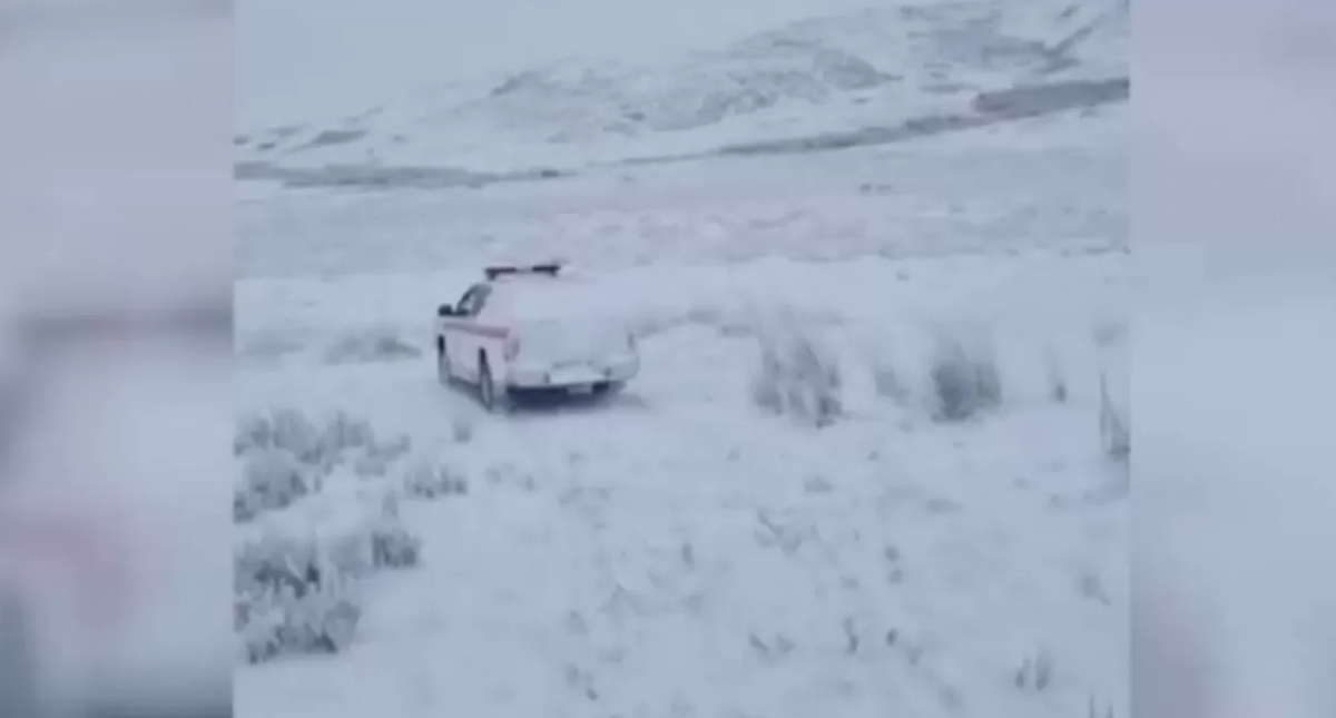 Фото: видеодан скрин