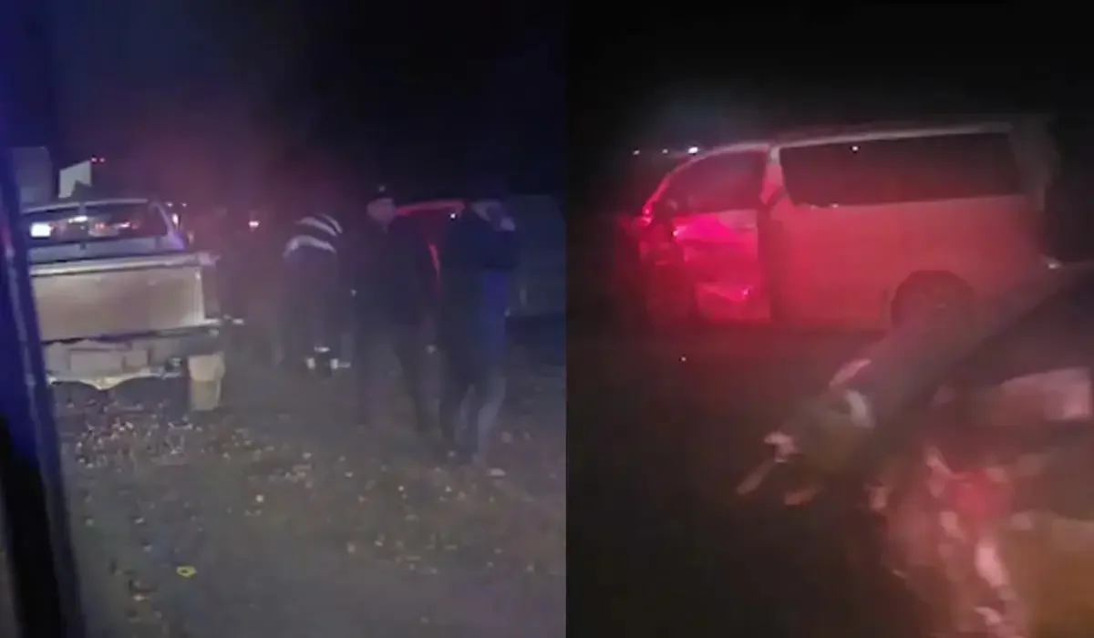 Фото: видеодан скриншот