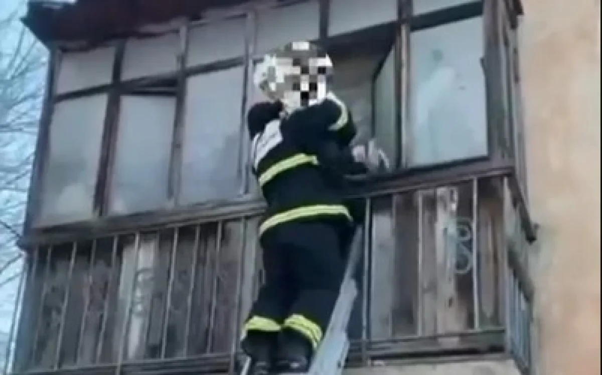 Фото: видео скриншот