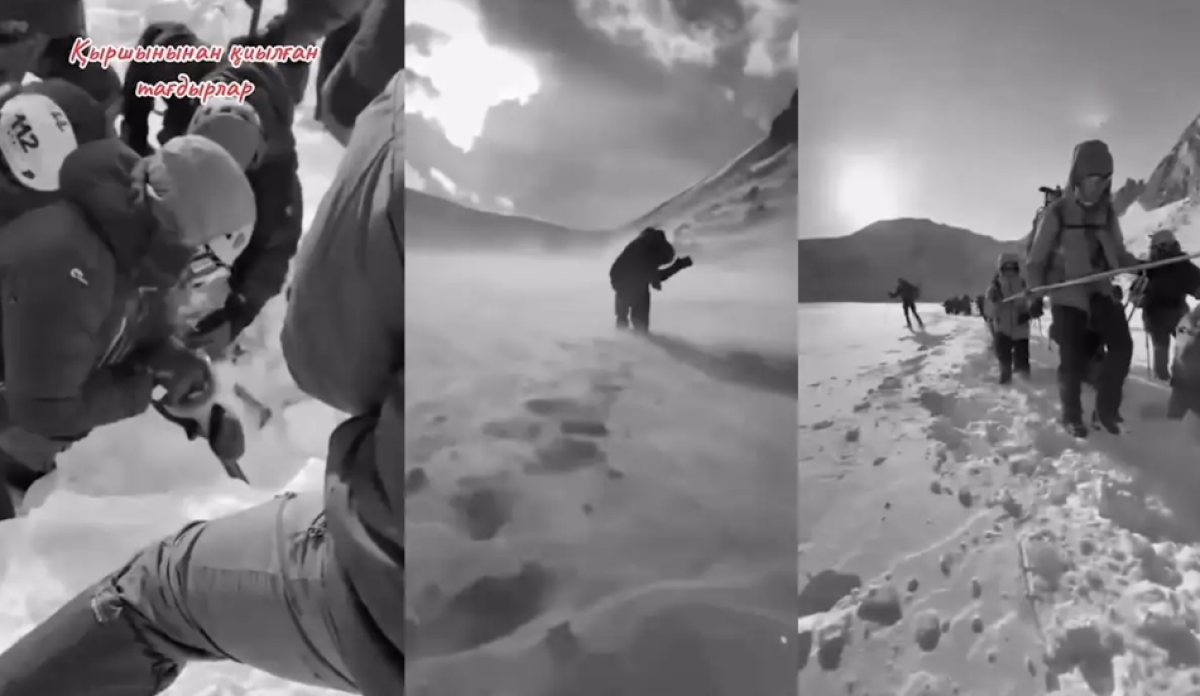 Фото: видеодан скрин