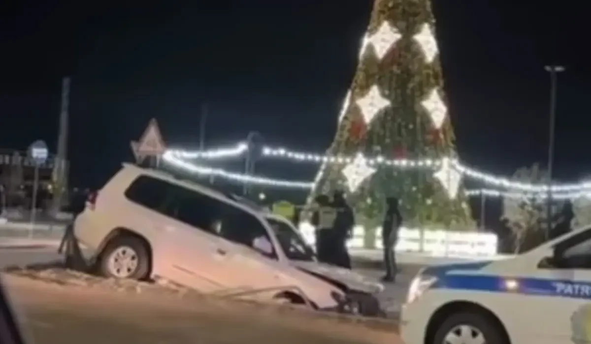 Фото: видеодан скриншот