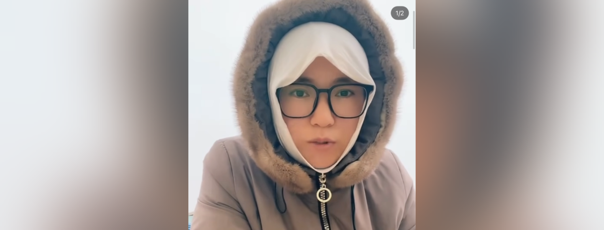 Фото: видео скриншот