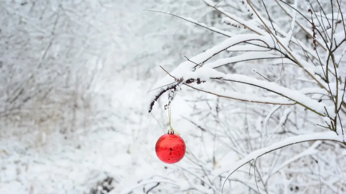 Фото:depositphotos.com